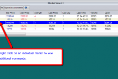 Market View Quote Window 2